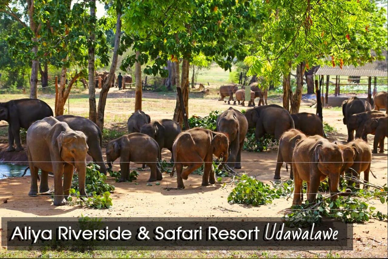 Aliya Riverside & Safari Resort Udawalawe Exterior photo