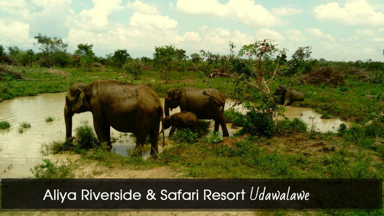 Aliya Riverside & Safari Resort Udawalawe Exterior photo