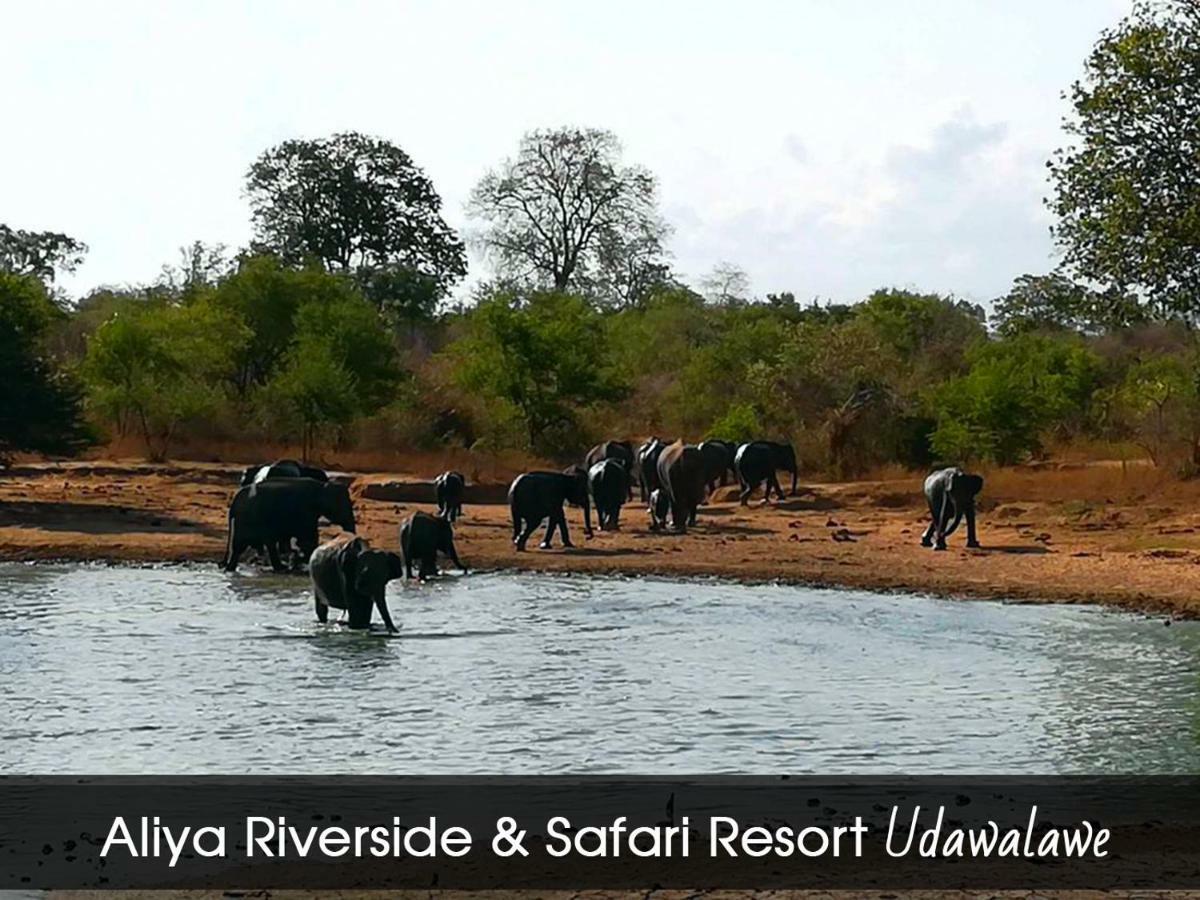 Aliya Riverside & Safari Resort Udawalawe Exterior photo