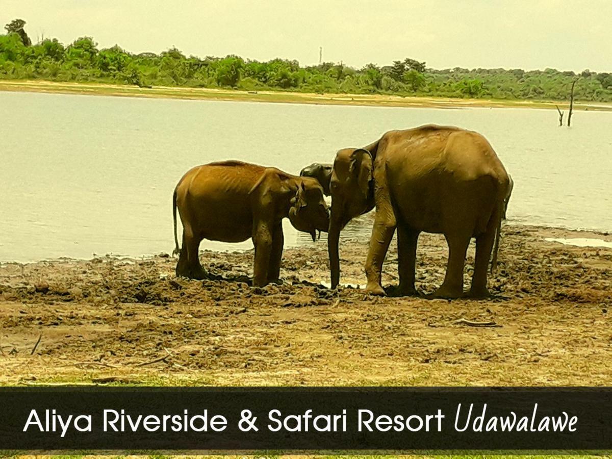 Aliya Riverside & Safari Resort Udawalawe Exterior photo