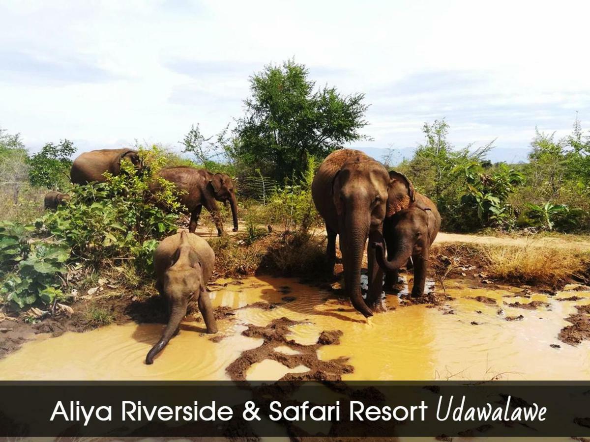 Aliya Riverside & Safari Resort Udawalawe Exterior photo