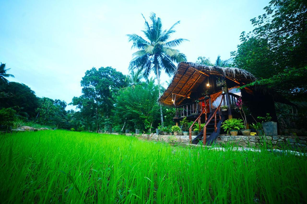 Aliya Riverside & Safari Resort Udawalawe Exterior photo